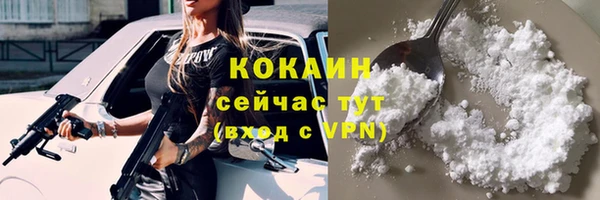 индика Киреевск