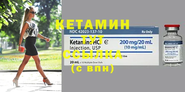 индика Киреевск