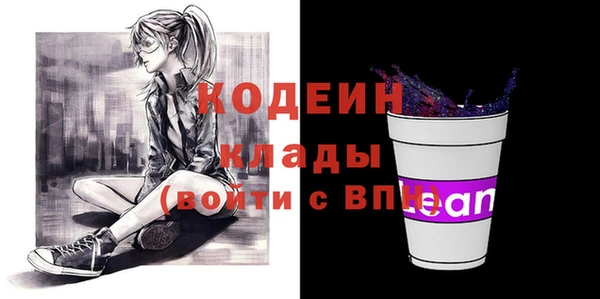 индика Киреевск