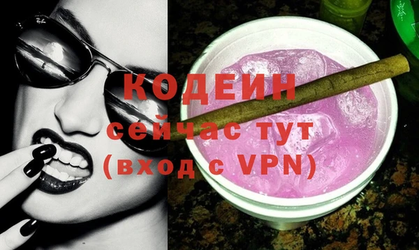 индика Киреевск
