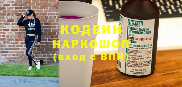 индика Киреевск