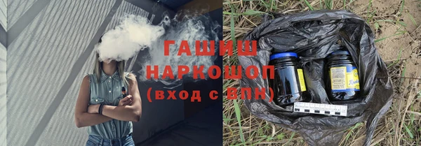 индика Киреевск