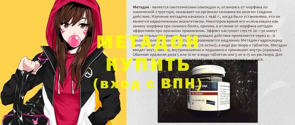 индика Киреевск