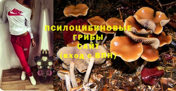 индика Киреевск