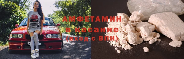 индика Киреевск