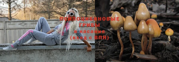 спиды Кинешма