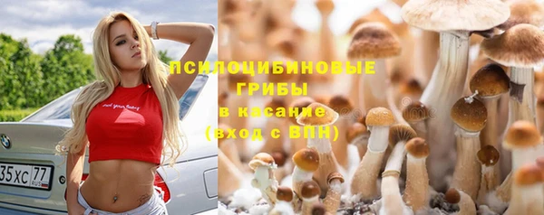 индика Киреевск