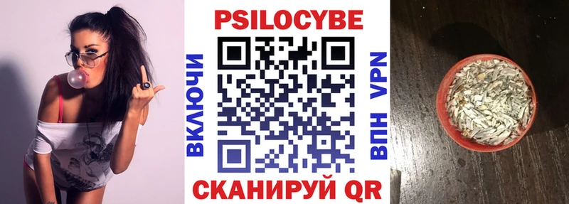 Купить Кинешма Псилоцибиновые грибы MAGIC MUSHROOMS